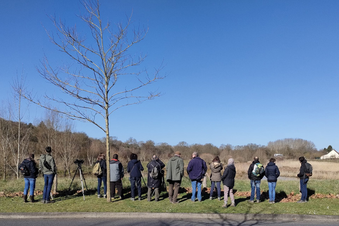 groupe d'observateurs de dos